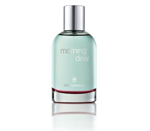 Morning Dew Victorinox 100 ml EDT woda toaletowa damska. Perfumy damskie Victorinox. Za 177.00 zł.