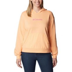 Damska bluza z kapturem Columbia Logo III French Terry. Brązowe bluzy Columbia, xs, bez wzorów, z kapturem. Za 149.99 zł.