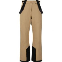 Spodnie narciarskie dla kobiet Whistler Drizzle Pro. Szare spodnie narciarskie Whistler, bez wzorów, narciarskie. Za 319.99 zł.