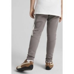 Młodzieżowe spodnie Evostripe PUMA Cast Iron Gray. Szara spodnie sportowe Puma, m, bez wzorów, z standardowym stanem, trekkingowe. W wyprzedaży za 114.00 zł.