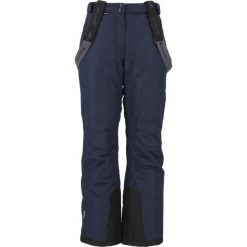 Spodnie narciarskie damskie Whistler Fairway W-PRO 10000. Niebieskie spodnie narciarskie Whistler, l, bez wzorów, narciarskie. Za 299.99 zł.