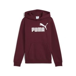 Młodzieżowa polarowa bluza z kapturem ESS z logo No. 1 PUMA Ruby Shimmer Red. Czerwona bluzy Puma, m, bez wzorów, z dżerseju, z kapturem. Za 159.00 zł.