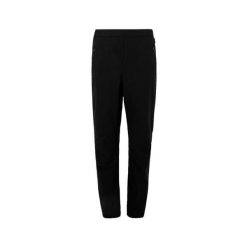 Spodnie turystyczne dla kobiet Regatta Pentre Stretch II. Czarne spodnie sportowe Regatta, na lato, bez wzorów, trekkingowe. Za 179.99 zł.