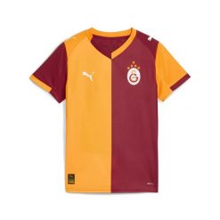 Młodzieżowa koszulka domowa Galatasaray SK 25/26 PUMA. Brązowa bluzki Puma, m, bez wzorów, młodzieżowe, bez kołnierzyka, bez ramiączek. Za 349.00 zł.