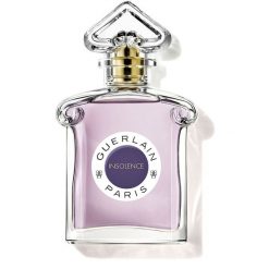 Guerlain Insolence Woda perfumowana 75 ml Damski. Perfumy damskie Guerlain. Za 591.20 zł.