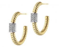 Kolczyki z żółtego i białego złota z brylantami - 0,26 ct - próba 750. Białe kolczyki Apart, z brylantem, złote. Za 10,590.00 zł.