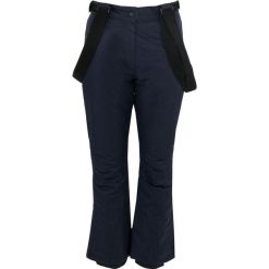 Damskie spodnie narciarskie Athl DPT Breanna Blue L - wodoodporne i ciepłe. Niebieskie spodnie narciarskie ZSPORT, l, bez wzorów, narciarskie. Za 367.99 zł.