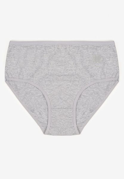 Szare Gładkie Majtki Figi z Bawełny Idina. Szare figi Born2be, plus size, bez wzorów, z bawełny. Za 9.99 zł.