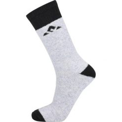 Skarpetki Whistler Waverlou (x2). Zielone skarpety Whistler, bez wzorów, z materiału. Za 82.00 zł.