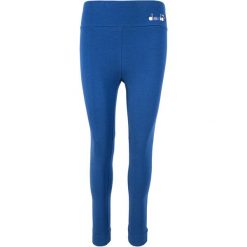 Legginsy damskie DIADORA L.LEGGINGS SPOTLIGHT. Fioletowe legginsy Diadora, l, bez wzorów, z bawełny. Za 49.99 zł.