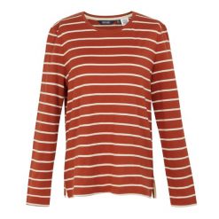 T-shirt Damski Paski Z Długim Rękawem Federica II. Brązowe t-shirty Regatta, l, bez wzorów, bez kołnierzyka, bez ramiączek. Za 49.99 zł.