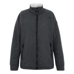 Damska Bluza Polarowa Emilde Z Pełnym Zamkiem Błyskawicznym. Szare bluzy Regatta, na zimę, bez wzorów, z polaru, bez kaptura. Za 103.99 zł.