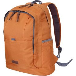 Solidny plecak Icepeak Gloster na przygody na świeżym powietrzu. Plecaki Icepeak, bez wzorów. Za 125.99 zł.