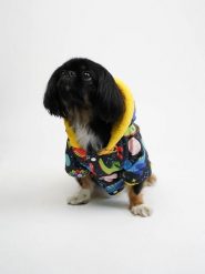 Paws&Whiskers Bluza ze wzorem dla psa rozmiar: M. Bluzy Paws&Whiskers, m, bez wzorów, bez kaptura. Za 91.99 zł.