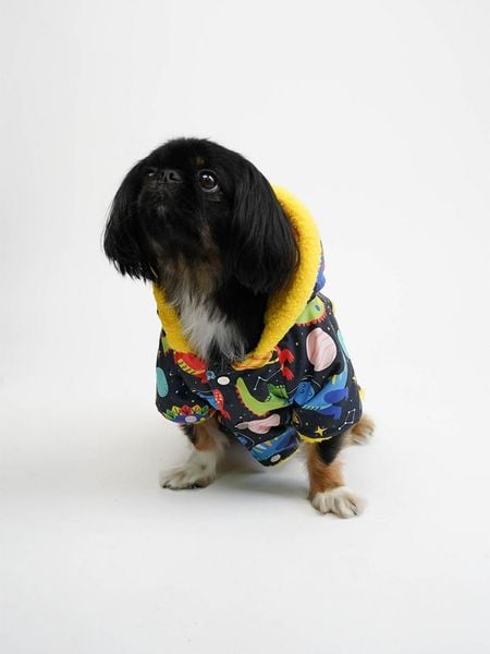 Paws&Whiskers Bluza ze wzorem dla psa rozmiar: S. Bluzy Paws&Whiskers, s, bez wzorów, bez kaptura. Za 162.49 zł.