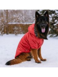 Paws&Whiskers Bluza w kolorze czerwonym dla psa rozmiar: 5XL. Czerwone bluzy Paws&Whiskers, xl, bez wzorów, bez kaptura. Za 108.99 zł.