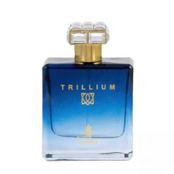 PARIS CORNER Emir Trillium EDP 100 ml woda perfumowana męska. Perfumy męskie Paris Corner. W wyprzedaży za 85.00 zł.