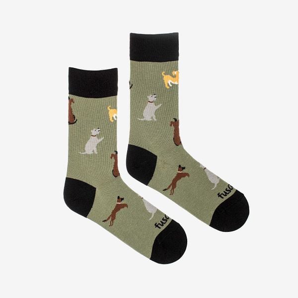 Skarpety Coqui 35-38. Zielone skarpety Coqui, bez wzorów. Za 95.99 zł.