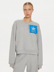 Adidas Bluza Ksenia IW5666 Szary Loose Fit. Szare bluzy Adidas, xs, bez wzorów, z bawełny, bez kaptura. Za 229.99 zł.