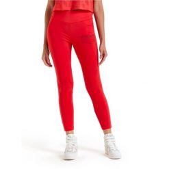Legginsy damskie DIADORA L. LEGGINGS MANIFESTO. Brązowe legginsy Diadora, l, bez wzorów. Za 64.99 zł.