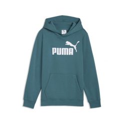 Młodzieżowa polarowa bluza z kapturem ESS z logo No. 1 PUMA. Szara bluzy Puma, m, bez wzorów, z dżerseju, z kapturem. Za 149.00 zł.