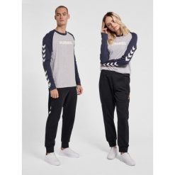 Koszulka z długim rękawem Hummel Legacy Blocked. Szare bluzki Hummel, xs, bez wzorów, sportowe, bez kołnierzyka, bez ramiączek. Za 139.00 zł.
