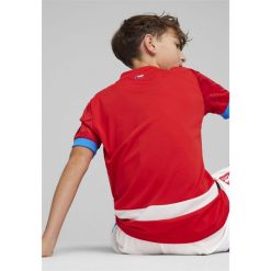 Młodzieżowa koszulka domowa reprezentacji Czech w piłce nożnej 2024 PUMA. Czerwona bluzki Puma, m, bez wzorów, młodzieżowe, bez kołnierzyka, bez ramiączek. W wyprzedaży za 289.00 zł.