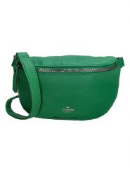 Charm Saszetka w kolorze zielonym - 23,5 x 15 x 6,6 cm rozmiar: onesize. Zielone torby na ramię Charm, bez wzorów, z materiału, sportowe, przez ramię, bez dodatków. Za 43.99 zł.