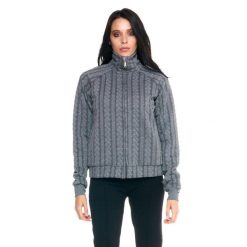 Damska bluza z golfem Leone zapinana na zamek błyskawiczny w kolorze szarym. Brązowe bluzy LEONE 1947 APPAREL, l, bez wzorów, z tkaniny, bez kaptura. W wyprzedaży za 167.70 zł.