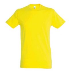 Koszulka Regent Dla Dorosłych Unisex. Zielone bluzki SOL'S, s, bez wzorów, sportowe, bez kołnierzyka, bez ramiączek. Za 33.99 zł.