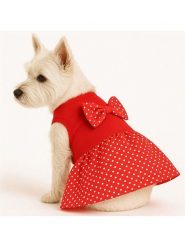 Paws&Whiskers Bluza w kolorze czerwonym dla psa rozmiar: M. Czerwone bluzy Paws&Whiskers, m, bez wzorów, bez kaptura. Za 82.99 zł.