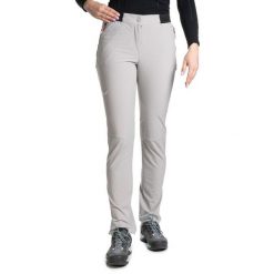 Spodnie trekkingowe damskie Pedroc 4 Dst Women. Szare spodnie sportowe Salewa, na jesień, m, bez wzorów. W wyprzedaży za 424.80 zł.