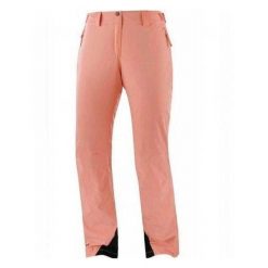 Spodnie Narciarskie Damskie Ambition Snowboard. Brązowe spodnie narciarskie Salomon, bez wzorów, narciarskie. Za 614.99 zł.