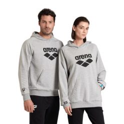 Bluza Arena Arena Hooded Sweat Graphic z kapturem. Szare bluzy Arena, xl, bez wzorów, z bawełny, z kapturem. Za 269.99 zł.