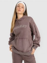 4F Bluza dresowa nierozpinana z kapturem damska - brązowa M. Brązowe bluzy 4f, m, bez wzorów, z bawełny, z kapturem. Za 179.99 zł.