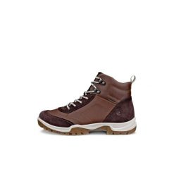 Buty trekkingowe za kostkę damskie Ecco Xpedition III. Brązowe trekkingi ecco, z gumy, za kostkę, trekkingowe. Za 567.20 zł.
