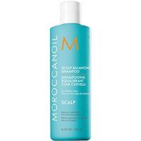 Scalp - Równoważący szampon do skóry głowy. Szampony do włosów Moroccanoil. Za 139.00 zł.