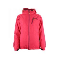 Kurtka narciarska 3 w 1 damska z odwracalnym designem Peak Mountain Acixi. Czerwone kurtki narciarskie Peak Mountain, s, bez wzorów, z puchu, bez kaptura, narciarskie. W wyprzedaży za 356.50 zł.