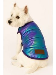 Paws&Whiskers Bluza w kolorze niebiesko-fioletowym dla psa rozmiar: L. Niebieskie bluzy Paws&Whiskers, l, bez wzorów, bez kaptura. Za 73.99 zł.