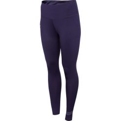 Legginsy damskie LEG290 - ciemny fiolet. Legginsy 4f, bez wzorów, z dzianiny. W wyprzedaży za 59.99 zł.
