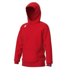 Bluza z kapturem Arena Team Panel. Czerwone bluzy Arena, xs, bez wzorów, z bawełny, z kapturem. Za 309.99 zł.