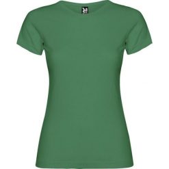 Damska Koszulka Z Krótkim Rękawem Jamaica. Zielone bluzki ROLY, xl, bez wzorów, sportowe, bez kołnierzyka, bez ramiączek. Za 30.99 zł.