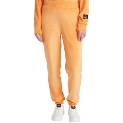 Damskie spodnie treningowe O'Neill Velour. Brązowe spodnie dresowe O'Neill, xs, bez wzorów. Za 399.00 zł.