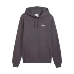 Bluza Puma Ess 2 Color Small No. 1 Logo Hoodie Fl Dorośli. Szare bluzy Puma, s, bez wzorów, z bawełny, z kapturem. Za 292.99 zł.