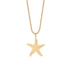 Naszyjnik Łańcuch No.12 z zawieszką Starfish pozłacany. Naszyjniki Lilou, pozłacane. Za 248.00 zł.