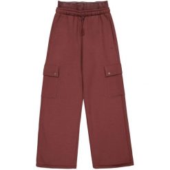 Spodnie Cargo Damskie. Brązowe spodnie sportowe Champion, m, bez wzorów, trekkingowe. Za 359.99 zł.