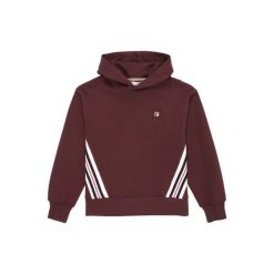 Bluza damska z kapturem Fila Serretta. Brązowe bluzy sportowe Fila, m, z aplikacjami, z bawełny, z kapturem. Za 342.50 zł.