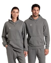 Bluza Arena Icons Hooded Sweat Solid z kapturem. Szare bluzy Arena, m, bez wzorów, z bawełny, z kapturem. Za 249.00 zł.