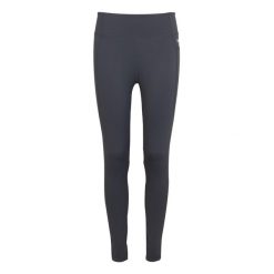 Legginsy Kompresyjne Damskie Holeen Pro. Szare legginsy Regatta, bez wzorów. Za 158.99 zł.