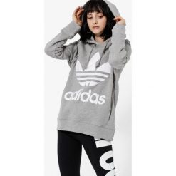 Adidas Bluza Trefoil Hoodiemgreyh , , rozmiar L. Bluzy Adidas, l, bez wzorów, z bawełny, z kapturem. W wyprzedaży za 199.99 zł.